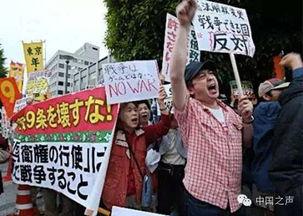 民众爆料新闻案例,一窥社会现象背后的真实故事